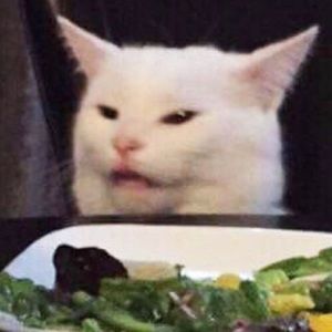 Meet your Posher, Celia